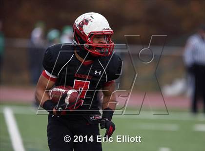 Thumbnail 1 in South Fayette vs Hickory (PIAA Class AA Semifinal) photogallery.