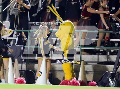 Thumbnail 1 in Forney @ North Mesquite photogallery.