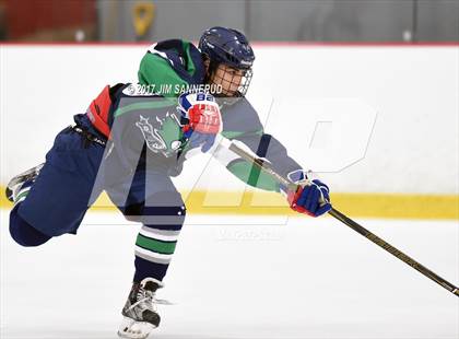 Thumbnail 1 in Byram Hills vs. Mt. Pleasant (Section 1 Division 2 Quarterfinal) photogallery.