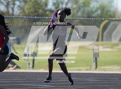 Thumbnail 3 in College Station Cougar Relays photogallery.