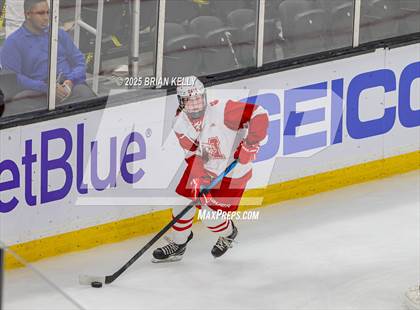 Thumbnail 1 in Milton vs Medfield (MIAA Division 2 Final) photogallery.