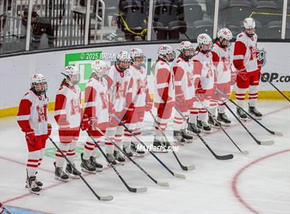 Thumbnail 1 in Milton vs Medfield (MIAA Division 2 Final) photogallery.