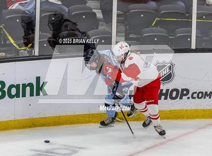 Thumbnail 3 in Milton vs Medfield (MIAA Division 2 Final) photogallery.
