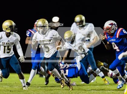 Thumbnail 2 in Hylton @ Gar-Field photogallery.