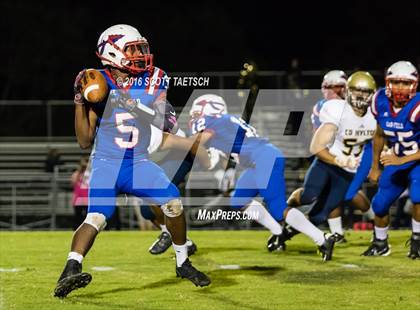 Thumbnail 2 in Hylton @ Gar-Field photogallery.