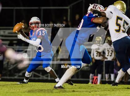 Thumbnail 3 in Hylton @ Gar-Field photogallery.