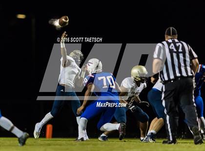 Thumbnail 3 in Hylton @ Gar-Field photogallery.