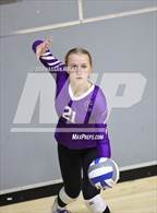 Photo from the gallery "Blessed Trinity @ Cartersville"