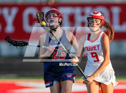Thumbnail 2 in Manatee @ Cardinal Mooney photogallery.