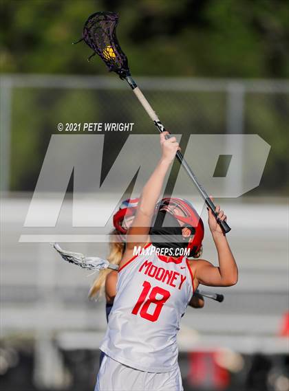 Thumbnail 3 in Manatee @ Cardinal Mooney photogallery.
