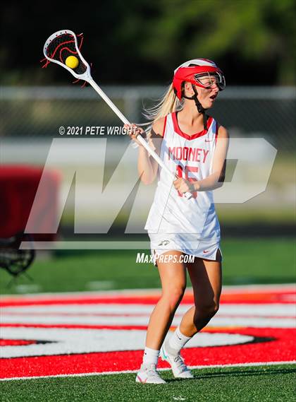 Thumbnail 1 in Manatee @ Cardinal Mooney photogallery.