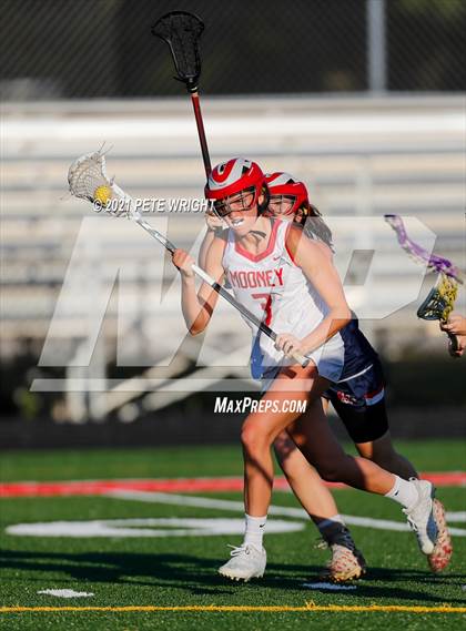 Thumbnail 2 in Manatee @ Cardinal Mooney photogallery.