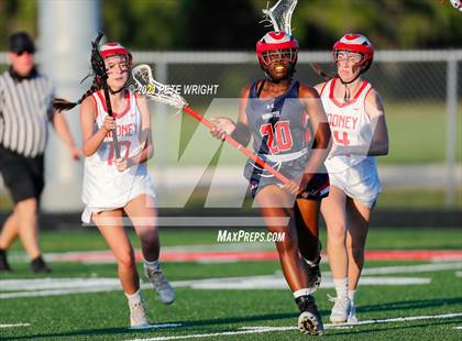 Thumbnail 2 in Manatee @ Cardinal Mooney photogallery.