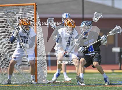 Thumbnail 3 in Darien @ Manhasset photogallery.