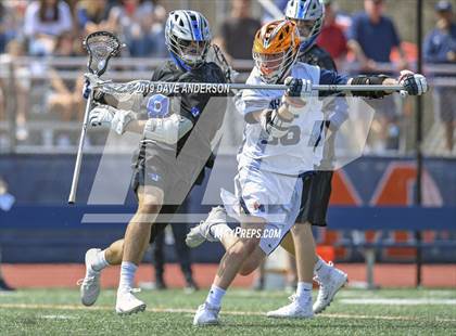 Thumbnail 1 in Darien @ Manhasset photogallery.