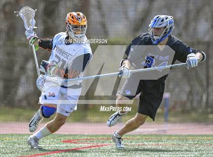 Thumbnail 3 in Darien @ Manhasset photogallery.