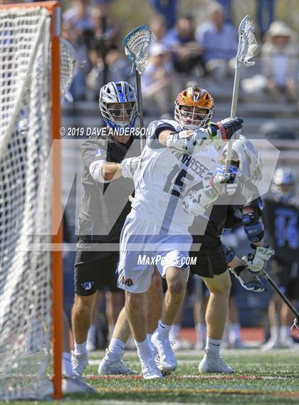 Thumbnail 1 in Darien @ Manhasset photogallery.