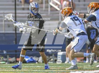 Thumbnail 3 in Darien @ Manhasset photogallery.