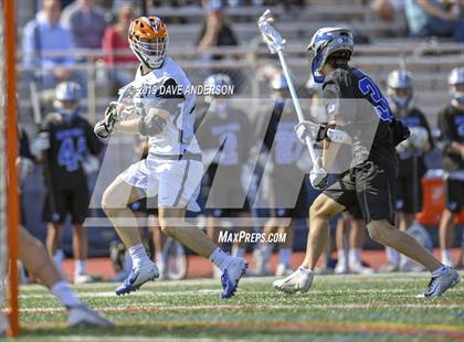 Thumbnail 1 in Darien @ Manhasset photogallery.