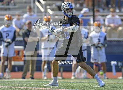 Thumbnail 3 in Darien @ Manhasset photogallery.