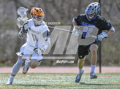 Thumbnail 2 in Darien @ Manhasset photogallery.