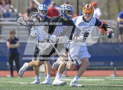 Thumbnail 3 in Darien @ Manhasset photogallery.