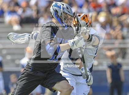 Thumbnail 3 in Darien @ Manhasset photogallery.
