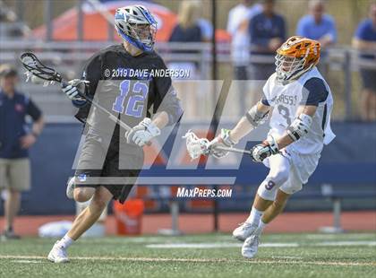 Thumbnail 2 in Darien @ Manhasset photogallery.