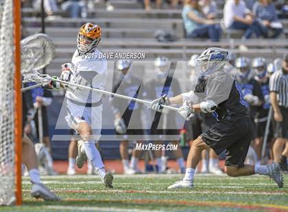 Thumbnail 1 in Darien @ Manhasset photogallery.