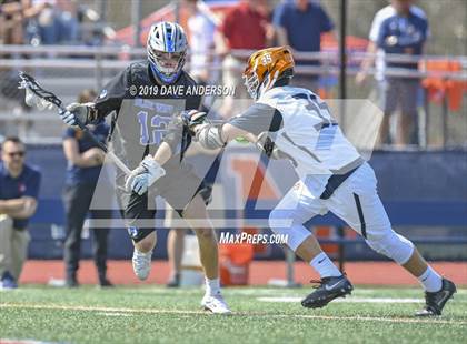 Thumbnail 3 in Darien @ Manhasset photogallery.