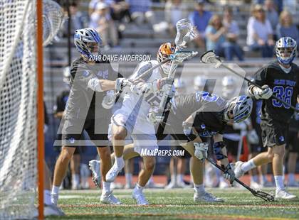 Thumbnail 1 in Darien @ Manhasset photogallery.