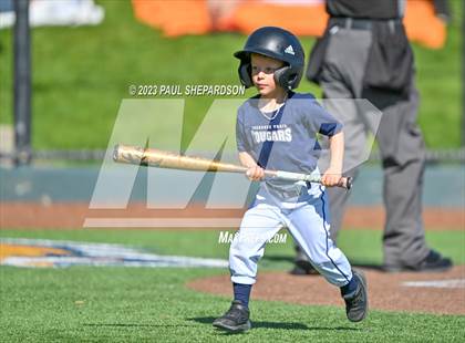 Thumbnail 2 in Cherokee Trail vs. Rock Canyon (CHSAA 5A State - 3rd Round) photogallery.