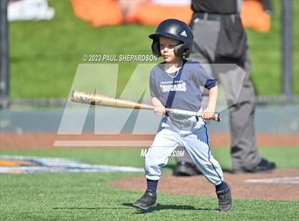 Thumbnail 1 in Cherokee Trail vs. Rock Canyon (CHSAA 5A State - 3rd Round) photogallery.
