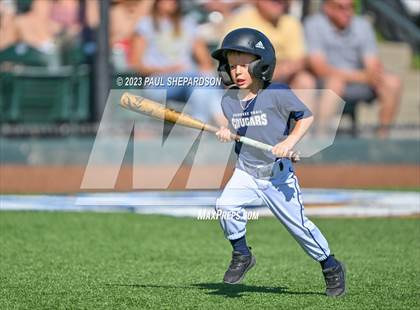 Thumbnail 2 in Cherokee Trail vs. Rock Canyon (CHSAA 5A State - 3rd Round) photogallery.