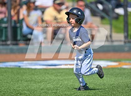 Thumbnail 3 in Cherokee Trail vs. Rock Canyon (CHSAA 5A State - 3rd Round) photogallery.