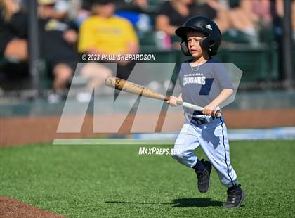 Thumbnail 1 in Cherokee Trail vs. Rock Canyon (CHSAA 5A State - 3rd Round) photogallery.