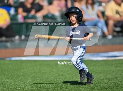 Thumbnail 3 in Cherokee Trail vs. Rock Canyon (CHSAA 5A State - 3rd Round) photogallery.