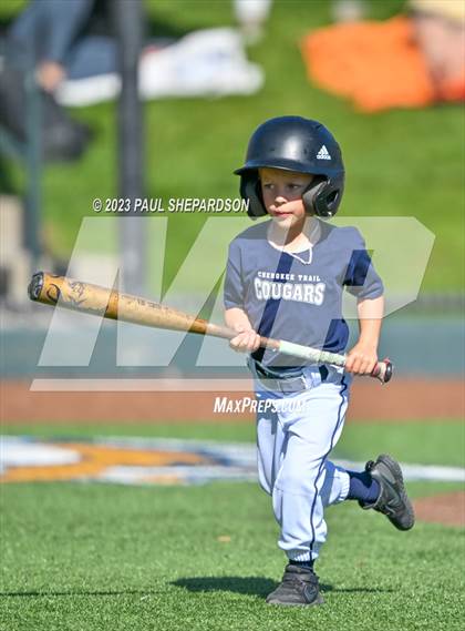 Thumbnail 1 in Cherokee Trail vs. Rock Canyon (CHSAA 5A State - 3rd Round) photogallery.