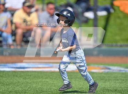 Thumbnail 2 in Cherokee Trail vs. Rock Canyon (CHSAA 5A State - 3rd Round) photogallery.