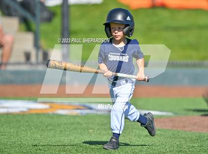 Thumbnail 3 in Cherokee Trail vs. Rock Canyon (CHSAA 5A State - 3rd Round) photogallery.