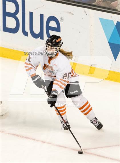 Thumbnail 1 in Woburn Memorial vs. Tewksbury/Methuen (MIAA Division 1 Final) photogallery.