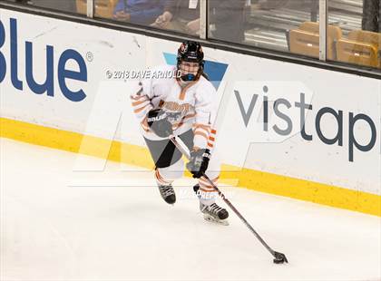 Thumbnail 2 in Woburn Memorial vs. Tewksbury/Methuen (MIAA Division 1 Final) photogallery.