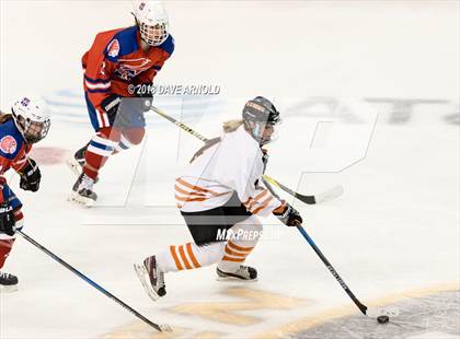 Thumbnail 1 in Woburn Memorial vs. Tewksbury/Methuen (MIAA Division 1 Final) photogallery.