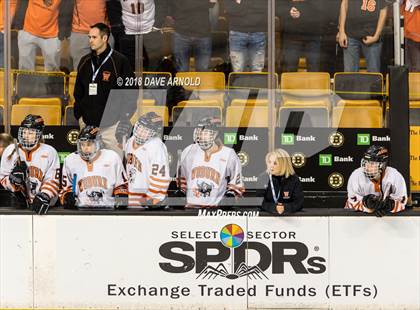 Thumbnail 2 in Woburn Memorial vs. Tewksbury/Methuen (MIAA Division 1 Final) photogallery.