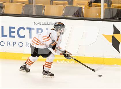 Thumbnail 1 in Woburn Memorial vs. Tewksbury/Methuen (MIAA Division 1 Final) photogallery.
