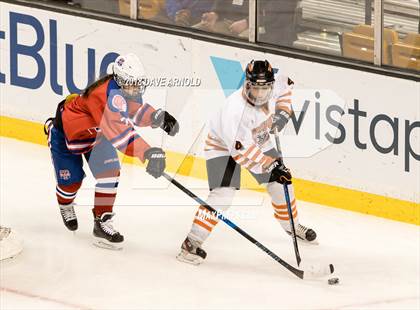 Thumbnail 1 in Woburn Memorial vs. Tewksbury/Methuen (MIAA Division 1 Final) photogallery.