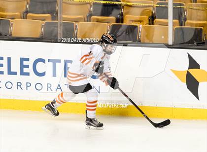 Thumbnail 1 in Woburn Memorial vs. Tewksbury/Methuen (MIAA Division 1 Final) photogallery.