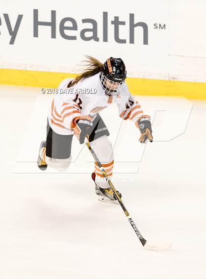 Thumbnail 2 in Woburn Memorial vs. Tewksbury/Methuen (MIAA Division 1 Final) photogallery.