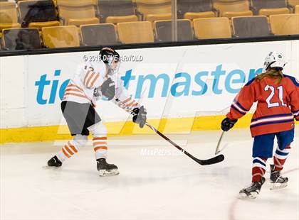 Thumbnail 3 in Woburn Memorial vs. Tewksbury/Methuen (MIAA Division 1 Final) photogallery.