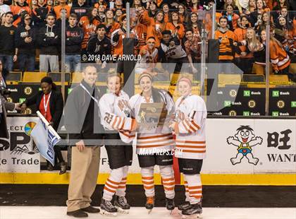 Thumbnail 3 in Woburn Memorial vs. Tewksbury/Methuen (MIAA Division 1 Final) photogallery.
